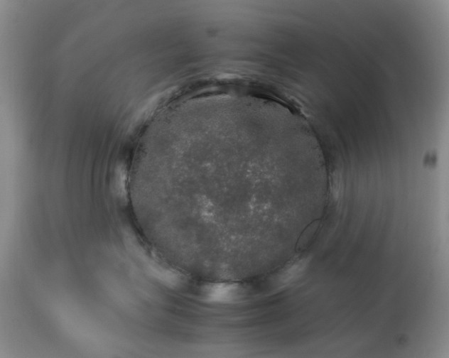 X0000113600575200910021744