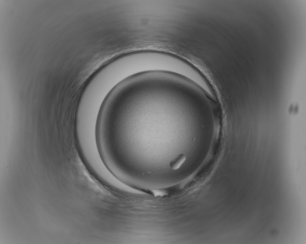 X0000113600577200910021743