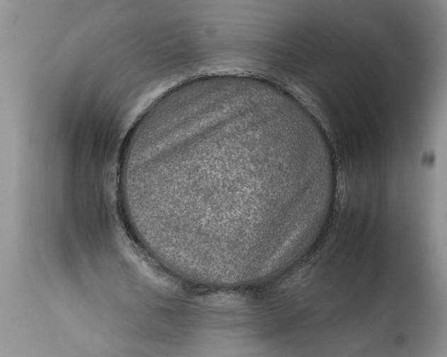 X0000113600578200910021743