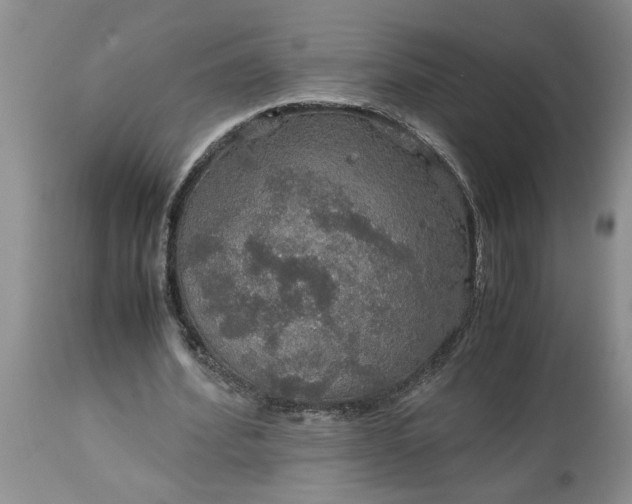 X0000113600580200910021743