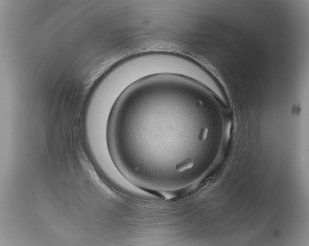 X0000113600581200910021743