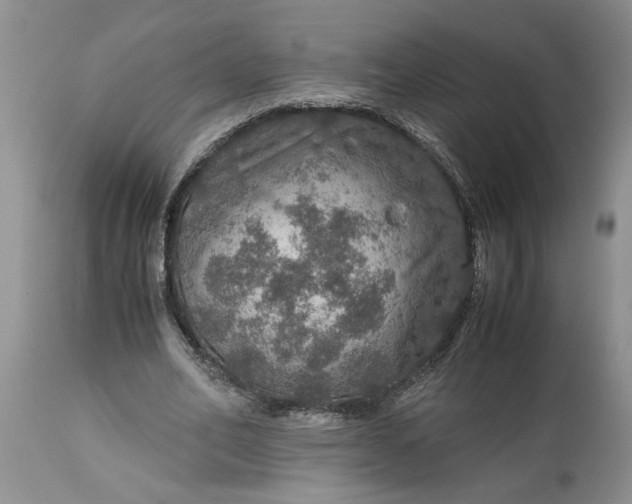 X0000113600582200910021743