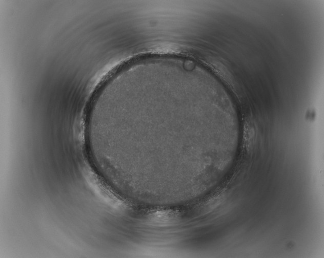 X0000113600584200910021743