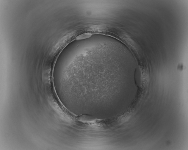 X0000113600585200910021743