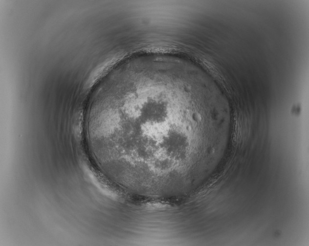 X0000113600586200910021743