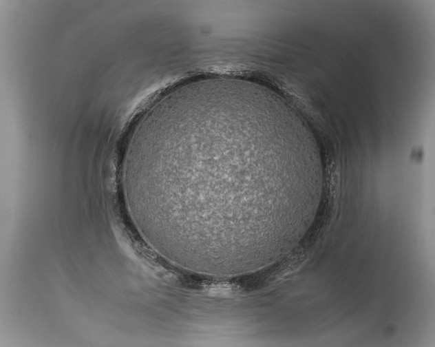 X0000113600587200910021743