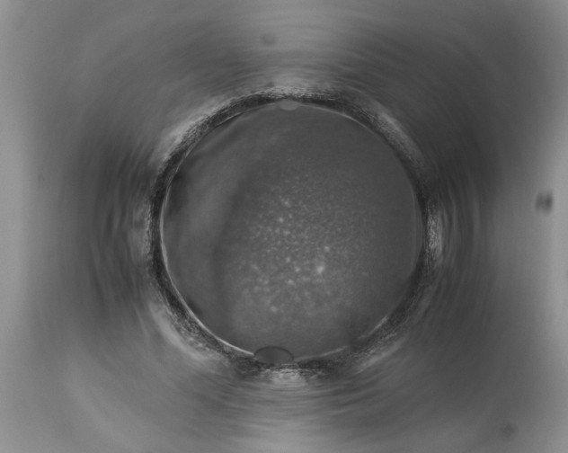 X0000113600588200910021743