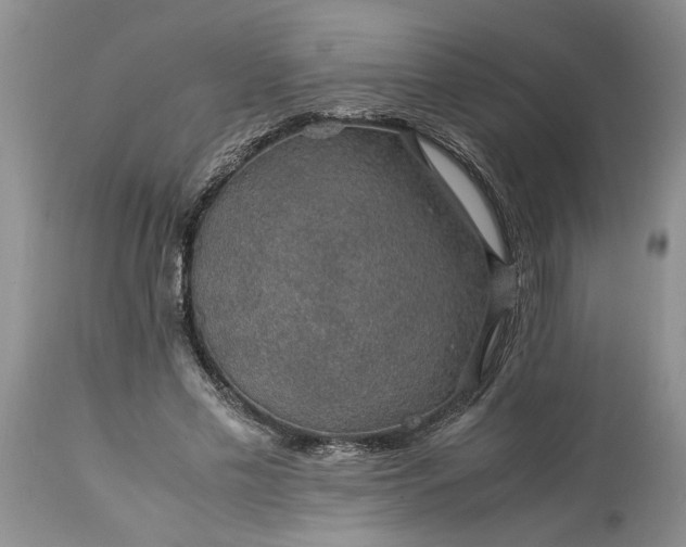 X0000113600589200910021743