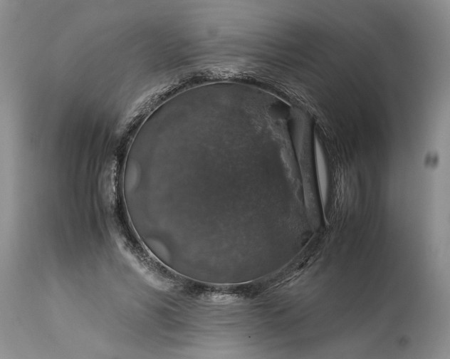 X0000113600590200910021743