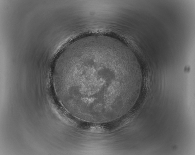 X0000113600591200910021743