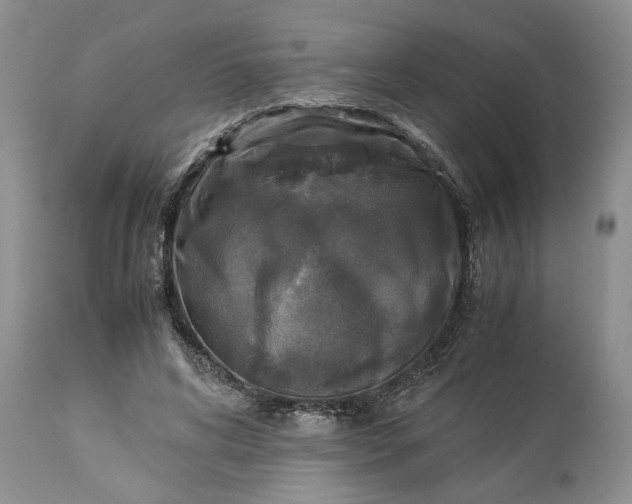 X0000113600592200910021743