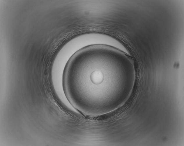 X0000113600593200910021743