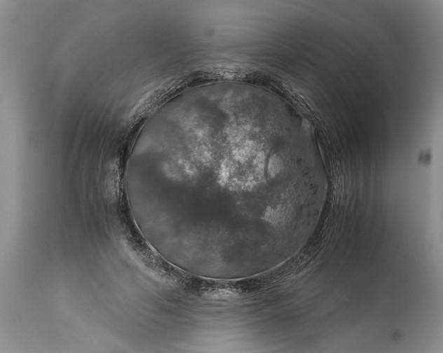 X0000113600594200910021743