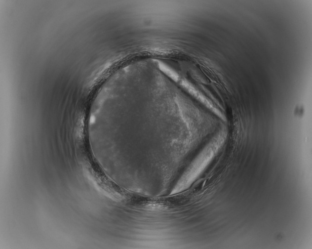 X0000113600596200910021743