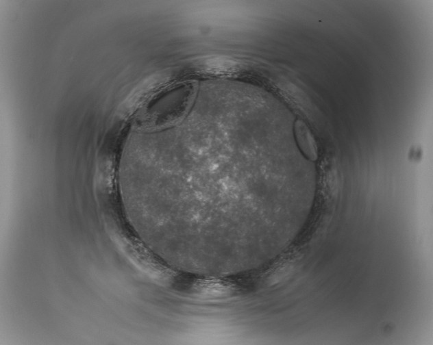 X0000113600597200910021743