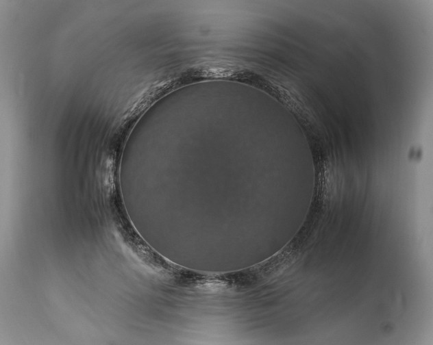 X0000113600598200910021743