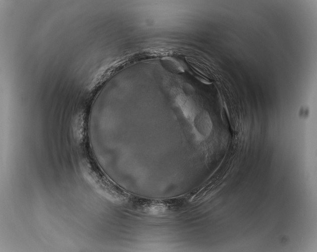 X0000113600600200910021743