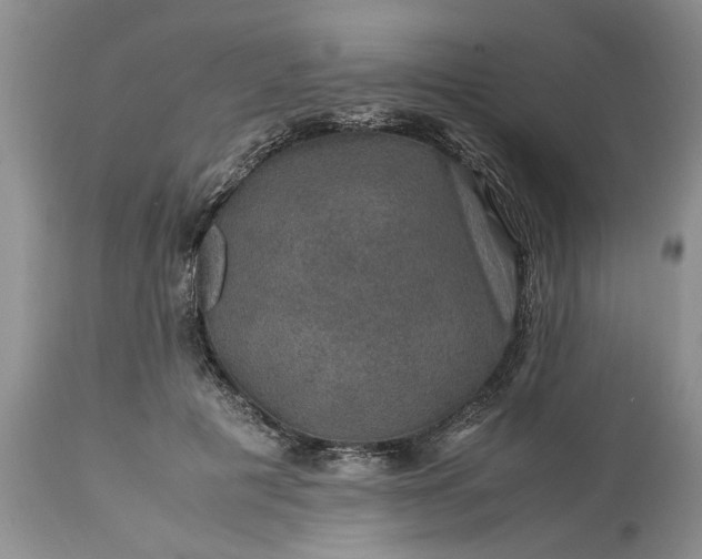 X0000113600601200910021743