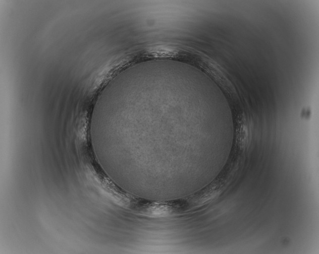 X0000113600604200910021743