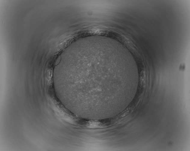 X0000113600605200910021743