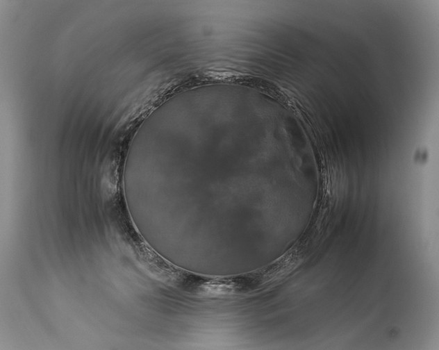 X0000113600606200910021743