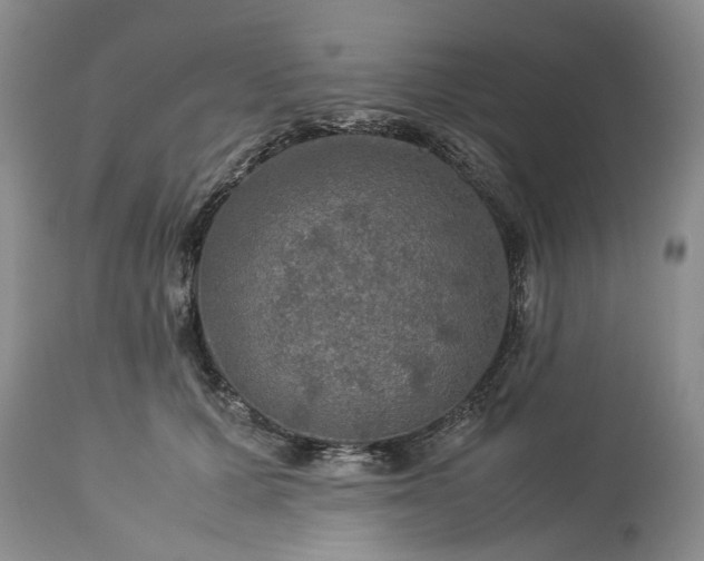 X0000113600607200910021743