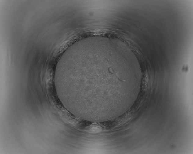 X0000113600608200910021743