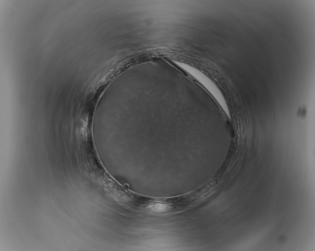 X0000113600610200910021743