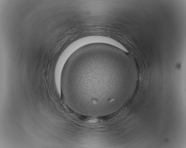 X0000113600611200910021743