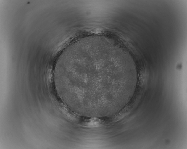 X0000113600612200910021743