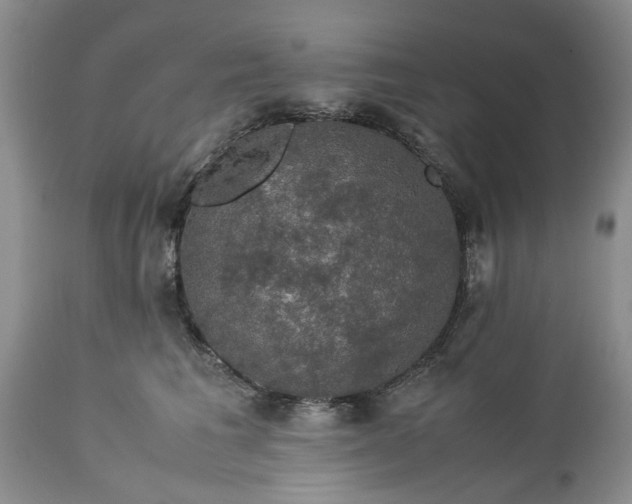 X0000113600613200910021743