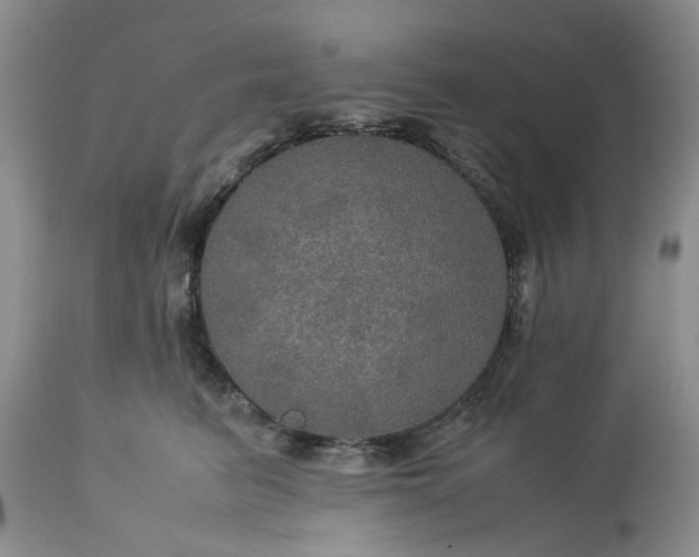 X0000113600615200910021742