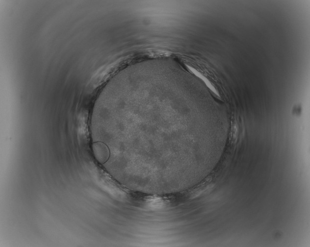 X0000113600616200910021742