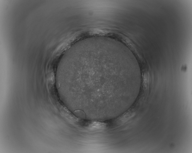 X0000113600617200910021742