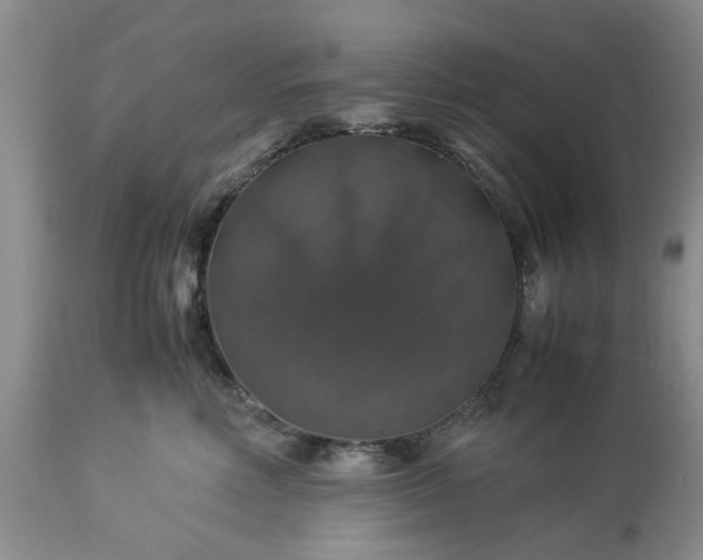 X0000113600618200910021742