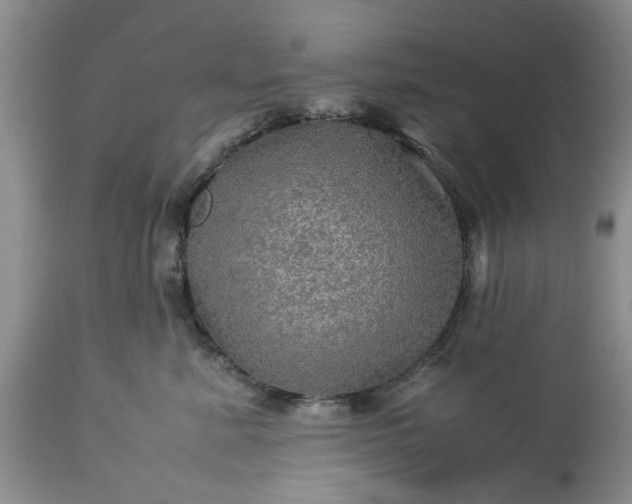 X0000113600619200910021742