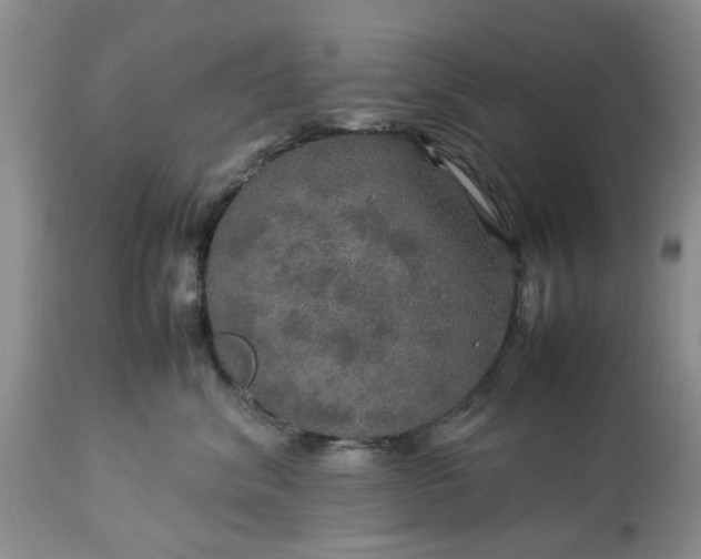 X0000113600620200910021742