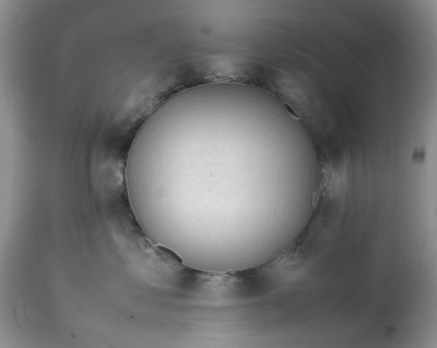 X0000113600621200910021742