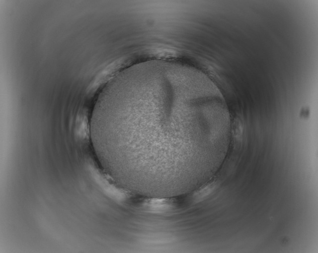 X0000113600622200910021742