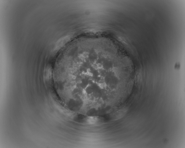 X0000113600623200910021742