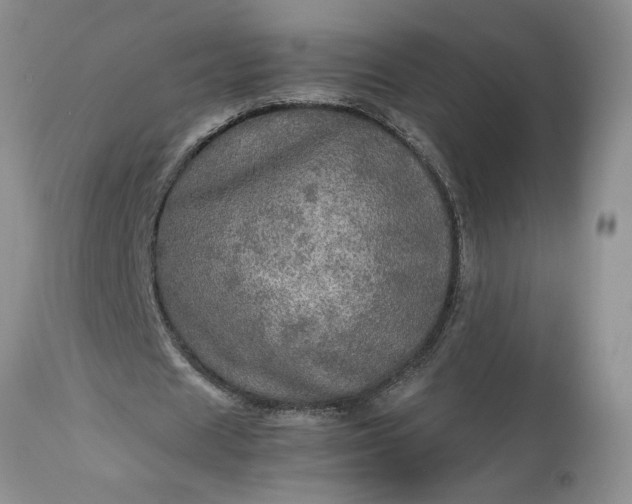 X0000113600625200910021741