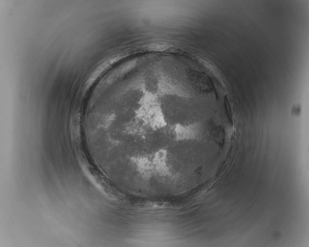 X0000113600626200910021741