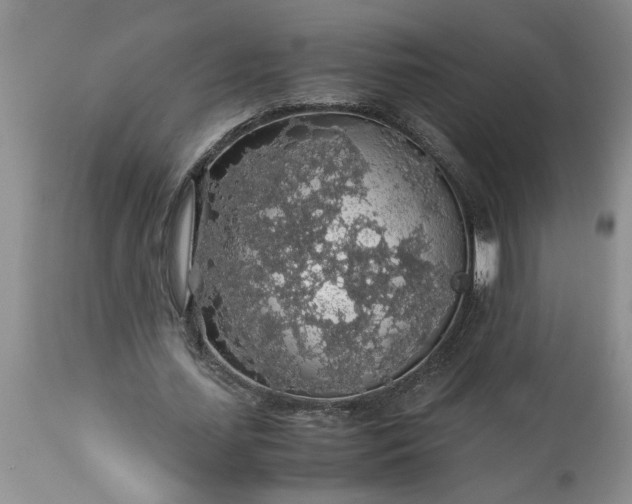 X0000113600627200910021741