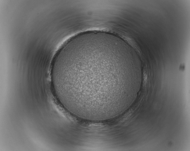 X0000113600628200910021741