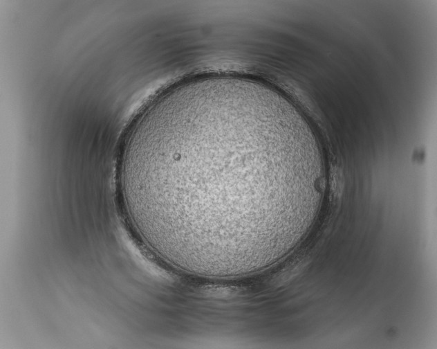 X0000113600629200910021741