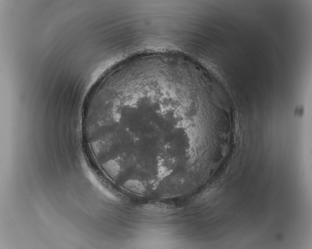 X0000113600630200910021741