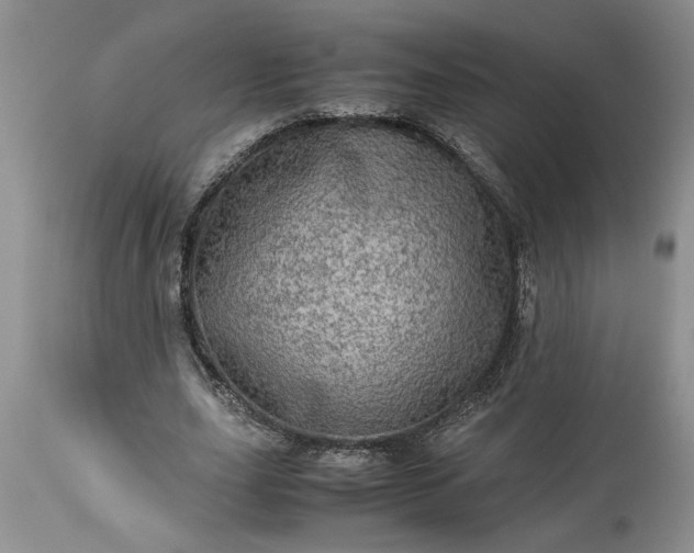 X0000113600631200910021741