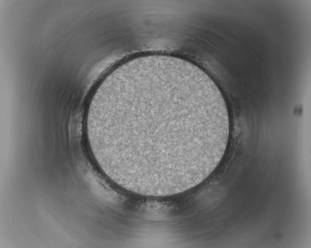 X0000113600632200910021741