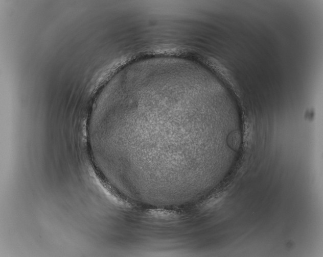 X0000113600633200910021741