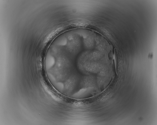 X0000113600634200910021741